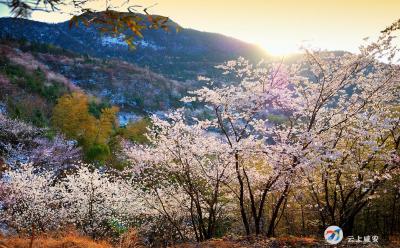 大幕乡东源村：“四好公路”助推乡村“颜值”节节高