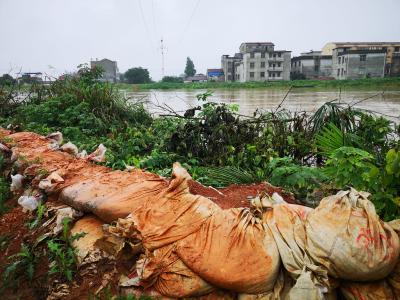 “两会”刚刚闭幕 区委书记李文波马不停蹄去了这些地方 