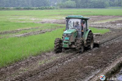 汀泗桥镇积极开展农业生产自救