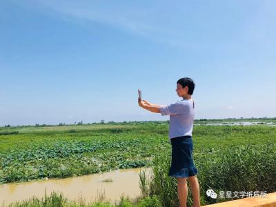 夏日清荷（散文）