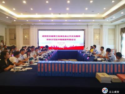 咸安区公共文化服务体系示范区创建工作迎接中期督查