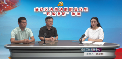 V视 | 决战决胜脱贫攻坚四级书记访谈②——大幕乡