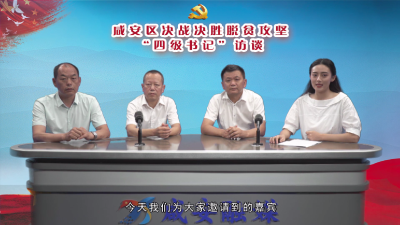 V视 | 决战决胜脱贫攻坚四级书记访谈①——双溪桥镇
