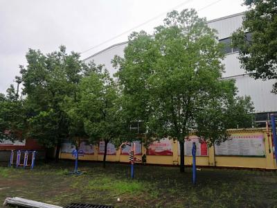 浮山办事处：携手做好汛期人员安置服务