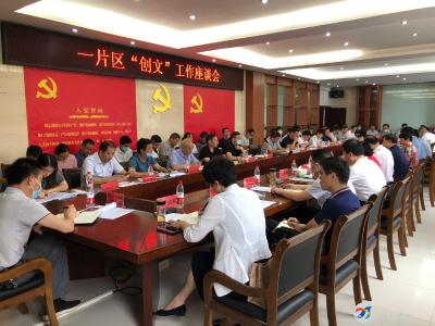 闫英姿一行到咸安一片区进行创文调研