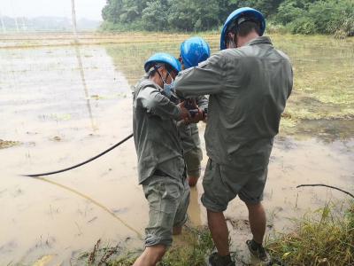 大雨里抢救六百亩水塘