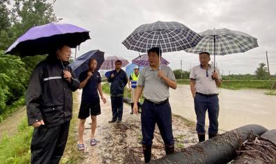 李文波深入滨湖围垸、泉水湖围垸检查指导防汛工作