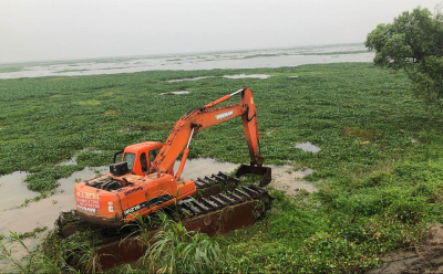 咸安督办重点河湖库水葫芦打捞工作