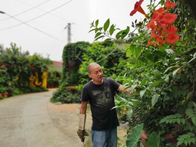 小拐角变“网红地”  这位“毛哥”有点牛
