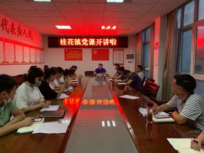 桂花镇：把党课讲进心里，把发展落到实处
