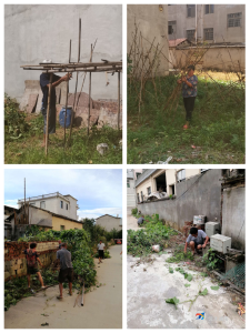 沿河社区集中整治私搭乱建种菜行为