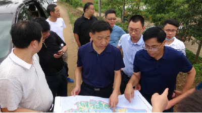 咸宁市自然资源和规划局领导带复查组来咸安调研全域国土综合整治工作