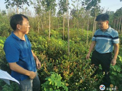 奔波在项目协调一线的“刘法官”