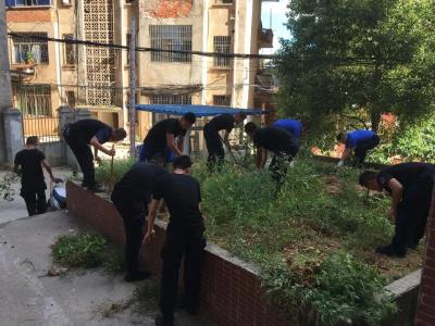 城区菜地，一铲到底