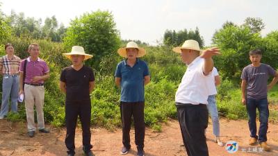 区农业农村局加强督查强力推进高标准农田建设