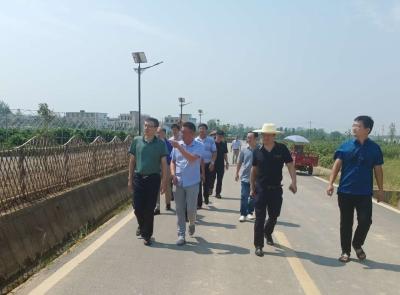 荆州市政协与咸宁市政协到向阳湖镇宝塔村交流乡村振兴工作经验