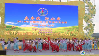  中国农民丰收节咸宁主会场活动在咸安萝卜小镇举行