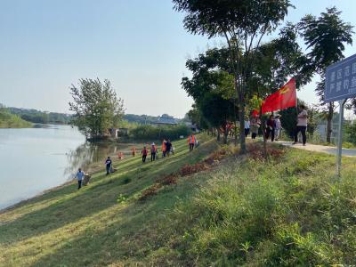 向阳湖镇：河堤清理在行动