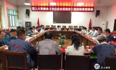 区人大常委会召开《中小企业促进法》执法检查座谈会
