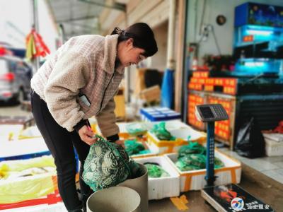 双节临近 螃蟹渐入市场 价格较往年偏低