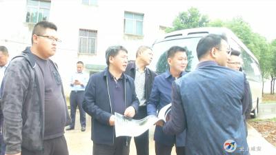 李文波在双溪桥镇调研督办乡村振兴工作