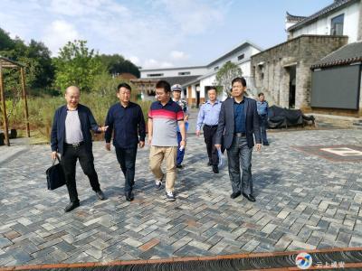 区文旅安全生产专委会开展高桥白水畈景区开园前安全生产检查