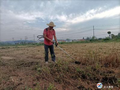高桥镇：抢抓农时不放松，秋冬播农业开发掀高潮