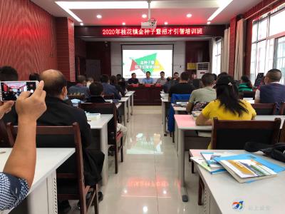 桂花镇“金种子”新型农民培训会：为勇敢者壮行，为创业者喝彩
