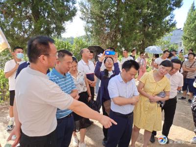 桂花镇刘家桥：启动乡村旅游微景观改造工作