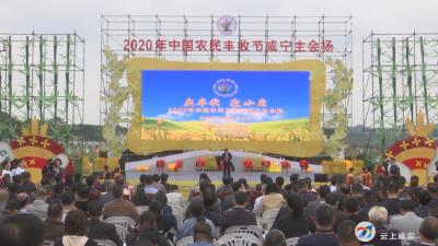 第三届中国农民丰收节咸宁主会场庆祝活动在咸安高桥萝卜小镇举行