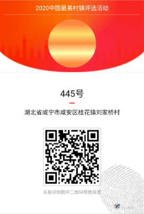 咸安一村正参选2020中国最美村镇，来为它打CALL!