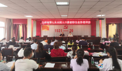 马桥镇召开第七次全国人口普查综合业务培训会