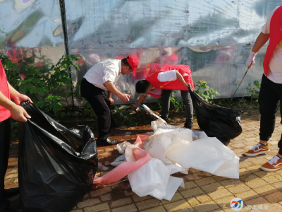 贺胜桥镇开展清洁家园行动