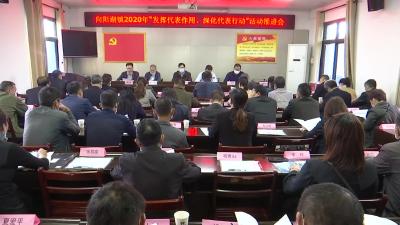 向阳湖镇推进“发挥代表作用 深化代表行动”活动