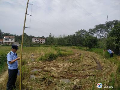 汀泗桥镇开展野生动物保护专项行动