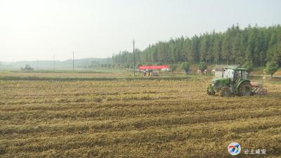 咸安：农机“赶集” 助推油菜生产全程机械化