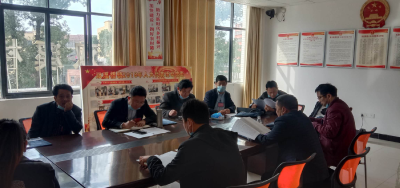双溪桥镇第九届人民代表大会第六次会议召开