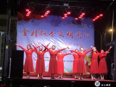 文艺演出进社区 文化惠民暖人心