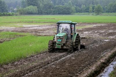 汀泗桥镇人大代表杨德祥：抢种抢收，颗粒归仓