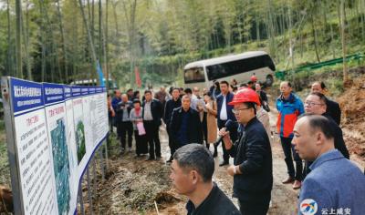 汀泗桥镇开展人大代表、政协委员集中视察活动