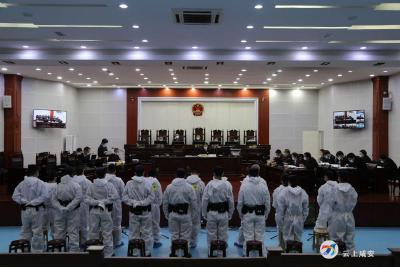 咸安区法院公开开庭审理林享清等9人涉恶案