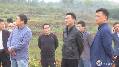 魏朝东到官埠桥镇调研湖北原乡假日小镇项目推进情况