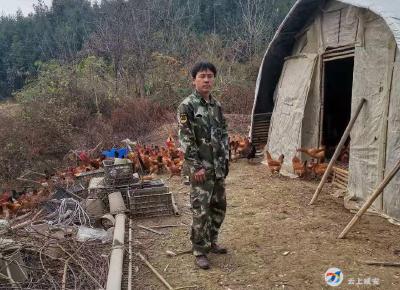 在校大学生只手撑起特种鸡场