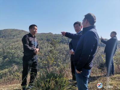区人大赴小岭林场调研林区建设情况