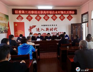 区委第三巡察组向高桥镇白水畈村反馈巡察意见