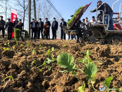 全市70名农业专家汇聚咸安这块地头····