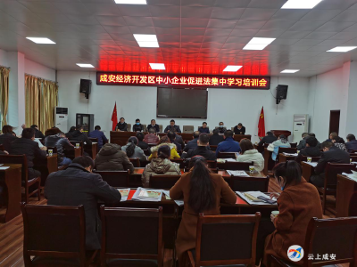 区司法局大力宣传《中小企业促进法》