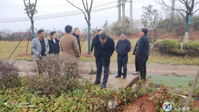 咸安区乡镇生活污水处理、垃圾收集处理两开花