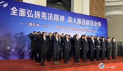 全面弘扬宪法精神 深入推进依法治统