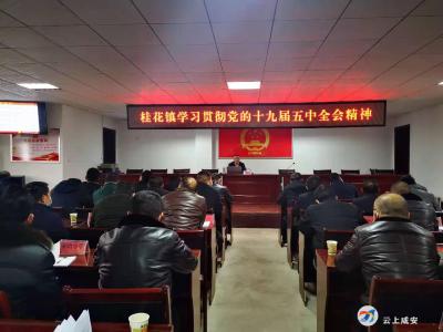 【基层宣讲】桂花镇学习贯彻党的十九届五中全会精神